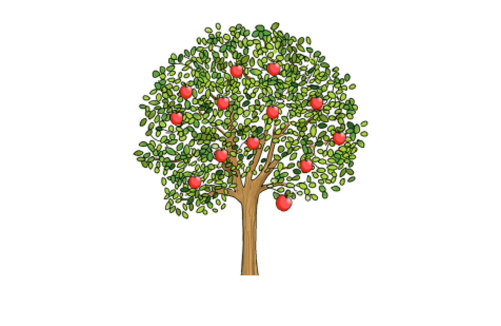 Lichtjesroute appelboom